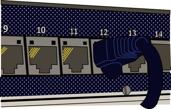 Patch Panel Graphic