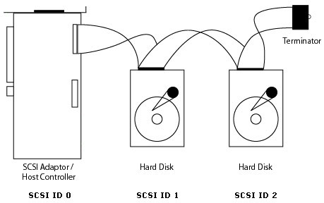 Figure 1 - A simple SCSI chain