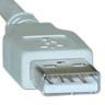 USB (A type)