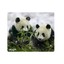 Mouse Pad, Panda - Part Number: 90D5-01120