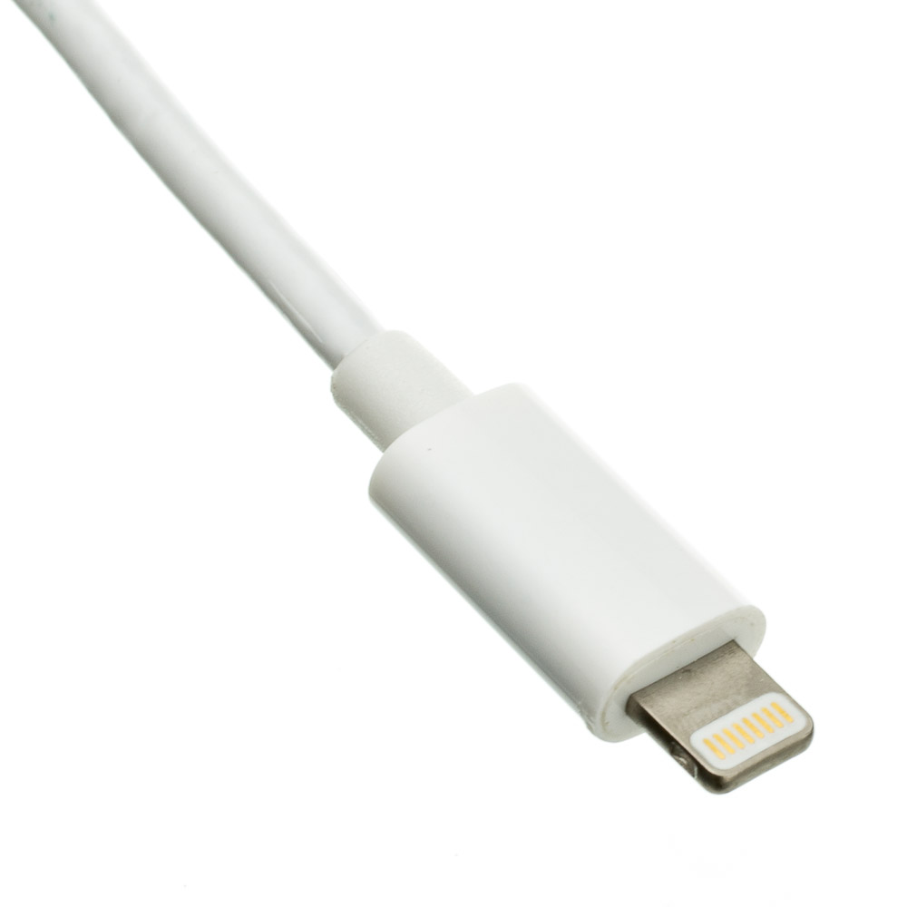 Apple Lightning USB Cable  Apple Lightning to USB Cable