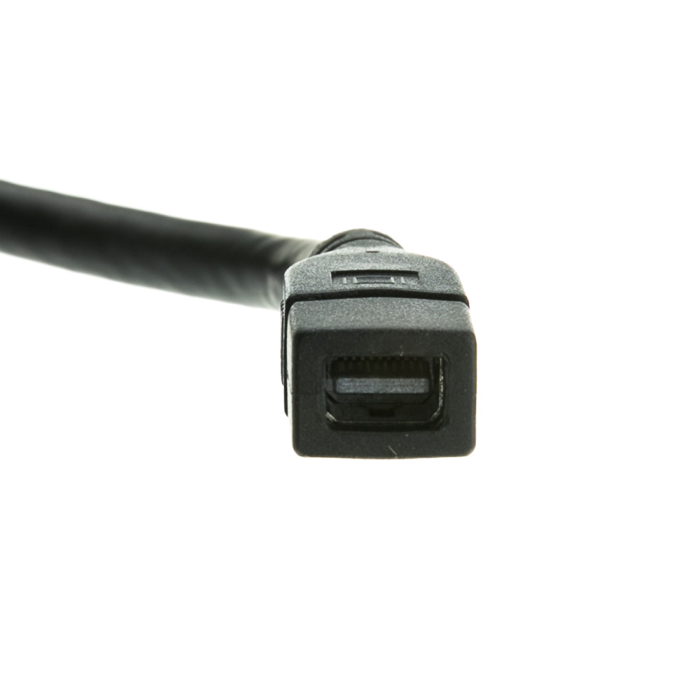DisplayPort to Mini DisplayPort Male to Female Adapter 6 Inch 