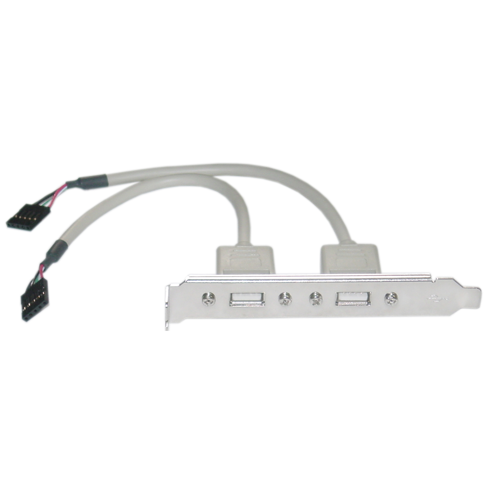 Dual USB Type-A PC Expansion Slot Cover