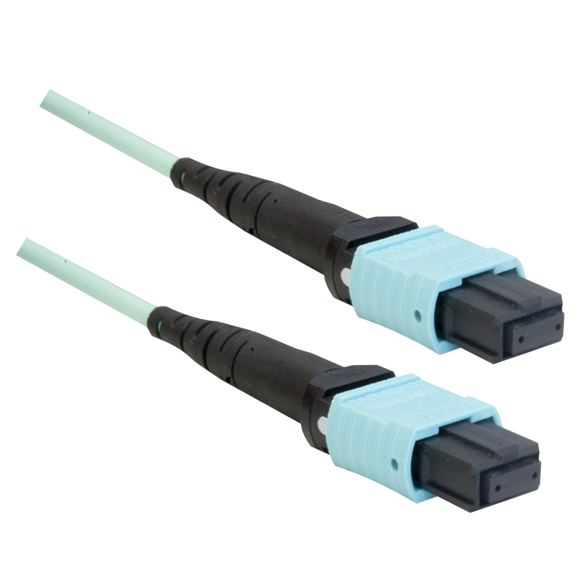 3 meter 24 strand Plenum Fiber Optic Cable | MTP(MPO) | 50/125, 100Gb