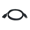 10H1-60206 - DisplayPort Male to DisplayPort Female 6ft Extension Cable