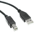 10U2-02206BK - USB 2.0 Printer/Device Cable, Black, Type A Male to Type B Male, 6 foot