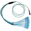 MPLC-32050 - Plenum Fiber Optic Cable, 100 Gigabit Ethernet CFP/CXP 100GBase-SR10 to MTP(MPO)/LC (10 Duplex LC) 24 inch Breakout Cable, OM3, 50/125, 50 meter