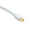 Mini DisplayPort to DVI Video Cable, Mini DisplayPort Male to DVI Male, 10 foot - Part Number: 10H1-62210