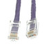 Cat6 Purple Ethernet Patch Cable, Bootless, 7 foot - Part Number: 10X8-14107