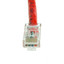 Cat6 Red Copper Ethernet Patch Cable, Bootless, POE Compliant, 14 foot - Part Number: 10X8-17114
