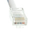 Cat6 White Copper Ethernet Patch Cable, Bootless, POE Compliant, 1 foot - Part Number: 10X8-19101