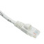 Cat6a White Ethernet Patch Cable, Snagless/Molded Boot, 500 MHz, 1 foot - Part Number: 13X6-09101