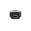USB A Female to USB Mini-B 5 Pin Male Adapter - Part Number: 30U1-05300
