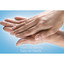 Clorox Hand Sanitizer, 16.9 oz Pump bottle - Part Number: 8304-06118