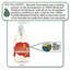 Seventh Generation Natural Hand Wash, Hibiscus & Cardamom, 12 oz Pump Bottle - Part Number: 8304-06703
