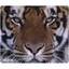 Mouse Pad, Tiger - Part Number: 90D5-01114