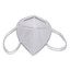 KN95 Face Mask, 5 / bag - Part Number: 9307-00404