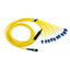 Plenum Fiber Optic Cable, 100 Gigabit Ethernet CFP/CXP 100GBase-SR10 to MTP(MPO)/LC (10 Duplex LC) 24 inch Breakout Cable, OS2 9/125 Singlemode, 15 meter - Part Number: MPLC-22015