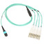 Plenum Fiber Optic Cable, 40 Gigabit Ethernet QSFP 40GBase-SR4 to MTP(MPO)/LC (4 Duplex LC) 24 inch Breakout Cable, OM4, 50/125, 3 meter - Part Number: MPLC-41003